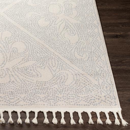 Surya Euphoria ERP-2309 2' x 3' Rug