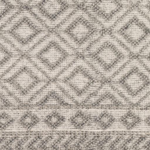 Surya Farmhouse Tassels FTS-2302 9' x 12' Rug