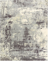 Surya Felicity FCT-8009 4' x 6' Rug