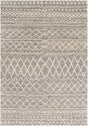 Surya Fez FEZ-2300 2' x 3' Rug