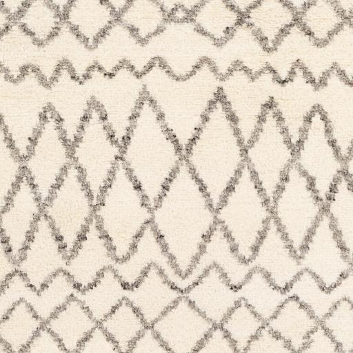 Surya Fez FEZ-2301 2' x 3' Rug