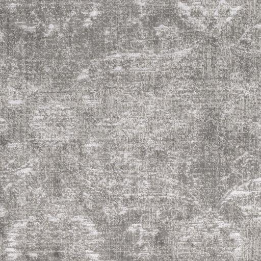 Surya Florence FRO-2302 Gray Light Gray 9' x 12'4" Rug