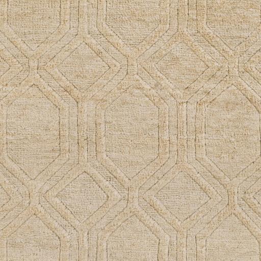 Surya Galloway GLO-1008 Beige Brown 5' x 8' Rug