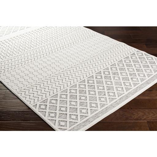 Surya Greenwich GWC-2318 Charcoal Light Beige 2' x 2'11" Rug