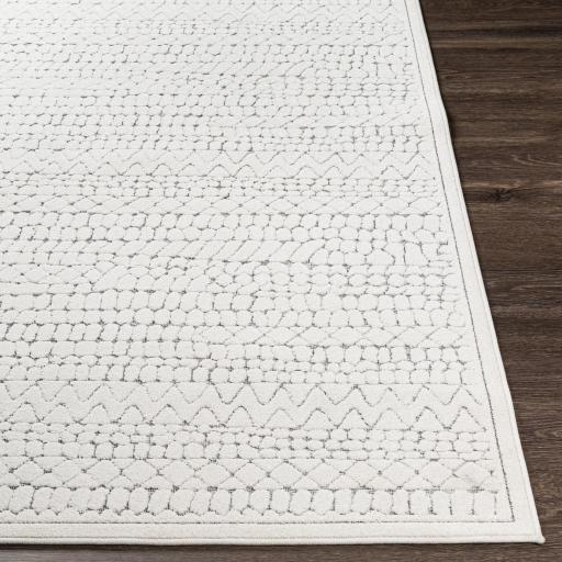 Surya Greenwich GWC-2321 2' x 2'11" Rug