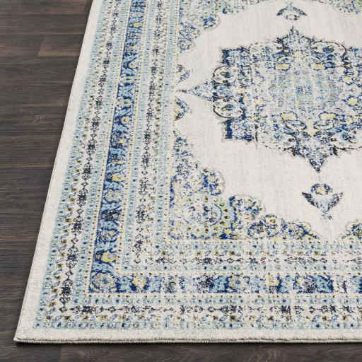 Surya Harput HAP-1031 2'7" x 7'3" Rug
