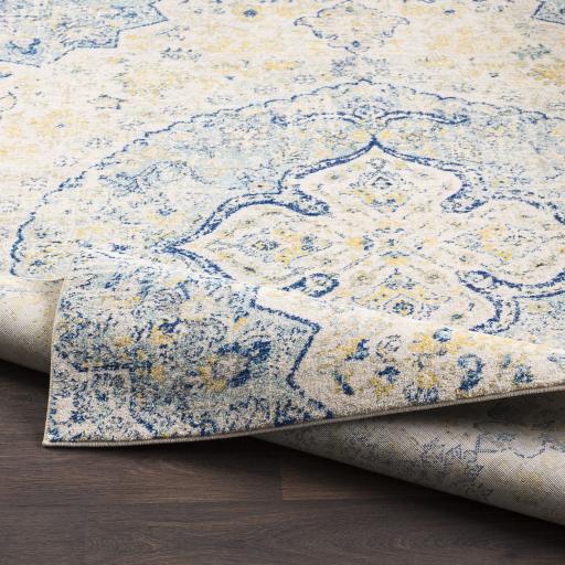 Surya Harput HAP-1047 2'7" x 7'3" Rug