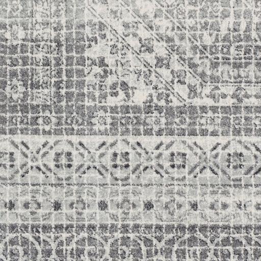 Surya Harput HAP-1080 5'3" x 7'3" Rug