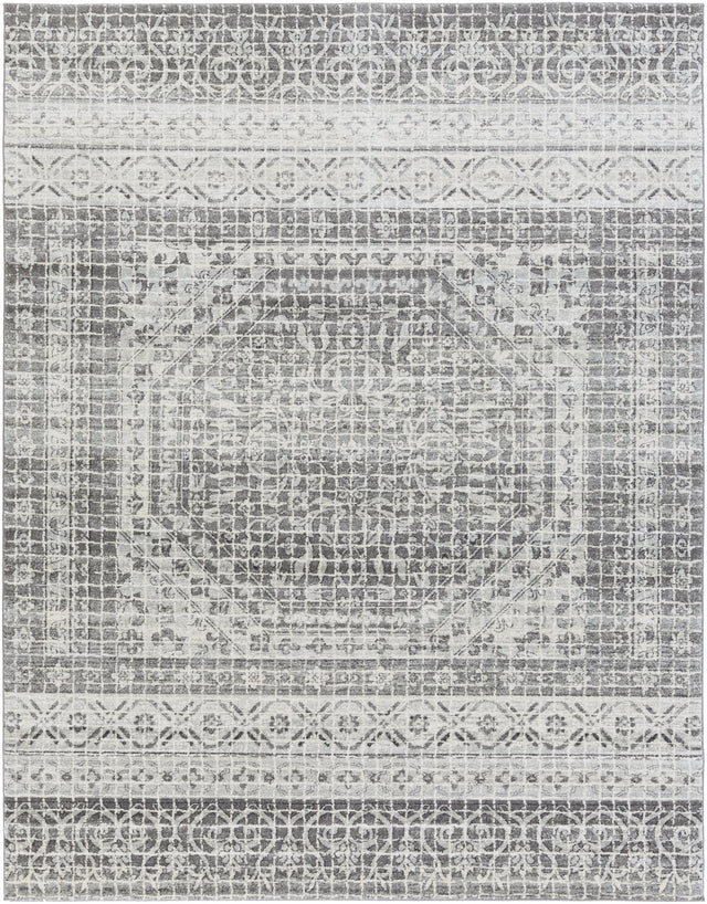 Surya Harput HAP-1080 6'7" x 9' Rug