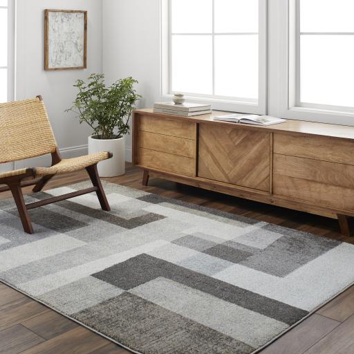 Surya Hyde Park HYP-2303 7'10" x 10' Rug