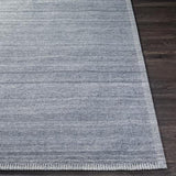 Surya Irvine IRV-2301 2' x 3' Rug