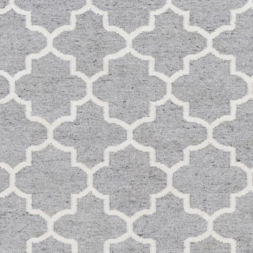 Surya Isle ISL-3003 2' x 3' Rug