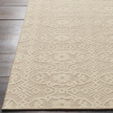 Surya Ithaca ITH-5000 2' x 3' Rug