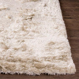 Surya Jasper JSP-8005 2' x 3' Rug