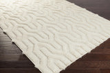 Surya Kabru KAB-8006 2' x 3' Hand Made Rug