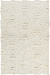 Surya Kabru KAB-8017 2' x 3' Hand Made Rug