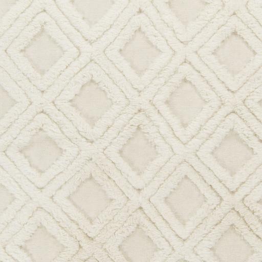Surya Kabru KAB-8018 Cream 2' x 3' Rug