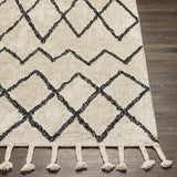 Surya Khemisset KMS-2301 2'6" x 4' Rug