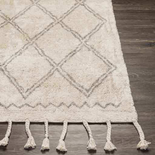 Surya Khemisset KMS-2304 2'6" x 4' Rug