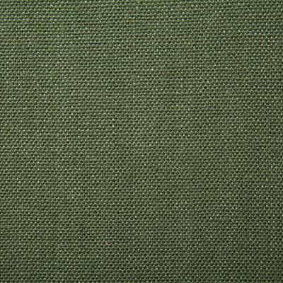 Pindler WESTLEY PALM Fabric