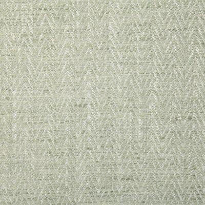 Pindler BERINGER ALOE Fabric