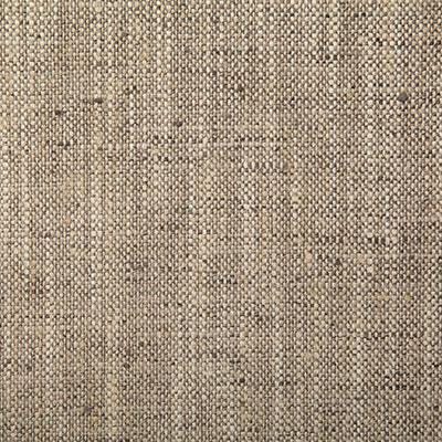 Pindler DRINA PEBBLE Fabric