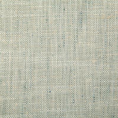 Pindler DRINA SPA Fabric