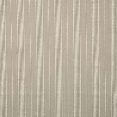 Pindler CONRAD CANVAS Fabric