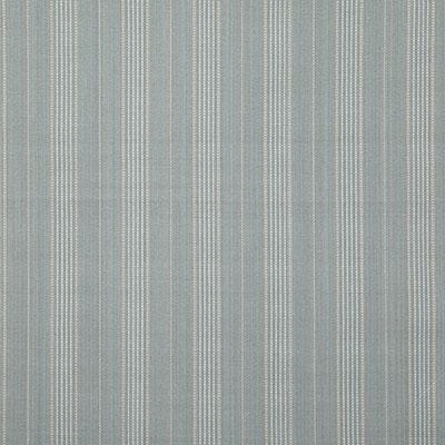 Pindler CONRAD SPA Fabric
