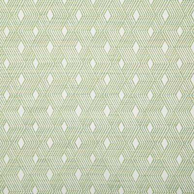Pindler MOORGATE MEADOW Fabric