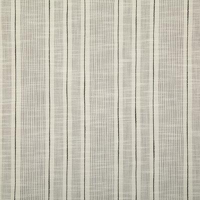 Pindler FLEETWOOD ONYX Fabric