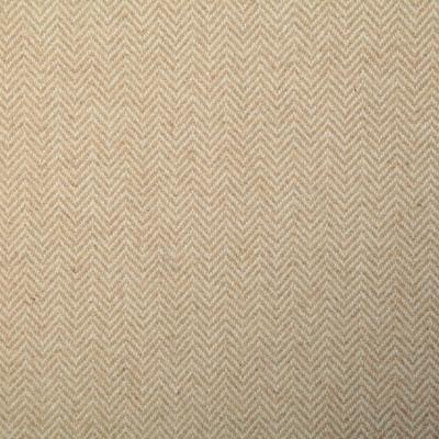 Pindler MICHAEL CHAMOIS Fabric