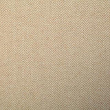 Pindler MICHAEL CHAMOIS Fabric