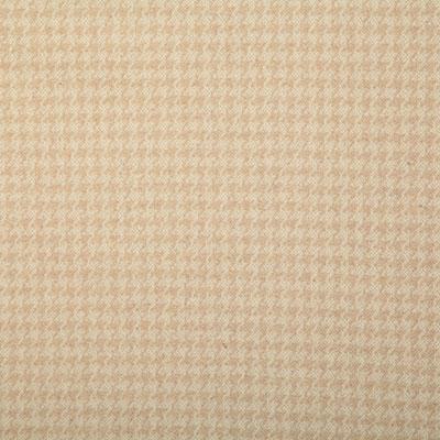Pindler JOSEPH CHAMOIS Fabric