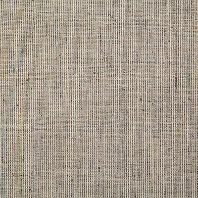 Pindler RYAN ASH Fabric