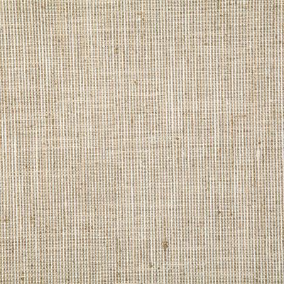 Pindler RYAN STRAW Fabric