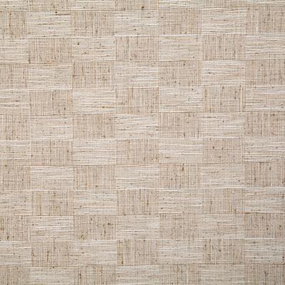 Pindler JAX STRAW Fabric