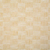 Pindler JAX SUNSHINE Fabric