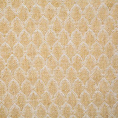 Pindler JUNE SUNSHINE Fabric