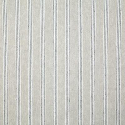 Pindler TRAVIS CELADON Fabric