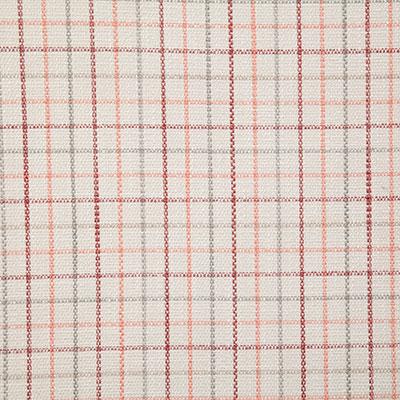 Pindler LIAM CORAL Fabric