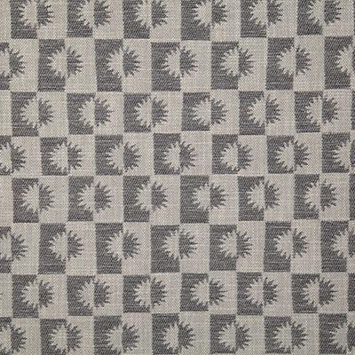 Pindler STEVIE CHARCOAL Fabric