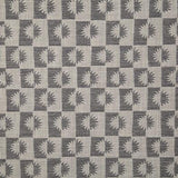 Pindler STEVIE CHARCOAL Fabric