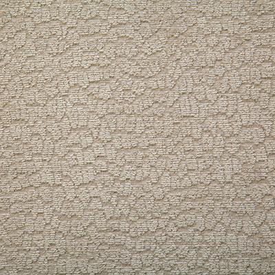 Pindler ROSCOE PUMICE Fabric