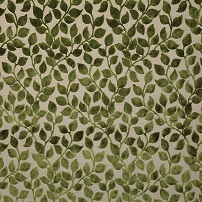 Pindler LOTTIE FOREST Fabric