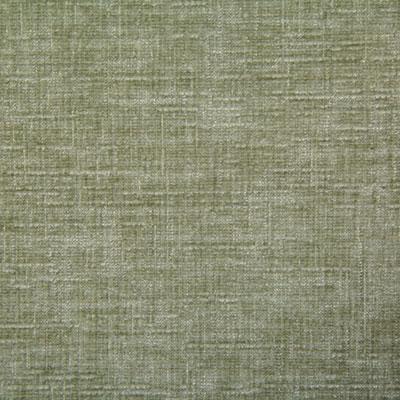 Pindler YOUNG ALOE Fabric