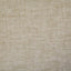 Pindler YOUNG LINEN Fabric
