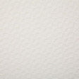 Pindler CHARLESTON IVORY Fabric