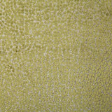 Pindler COLE OLIVE Fabric