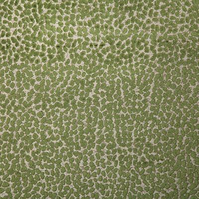 Pindler COLE PALM Fabric